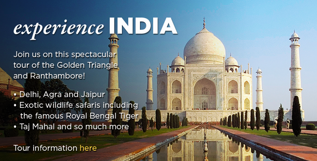 Experience India Tour