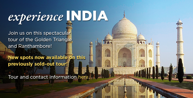 India Tour