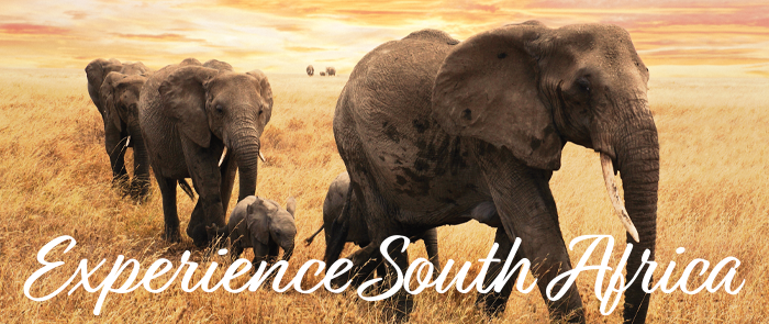 Experience South Africa